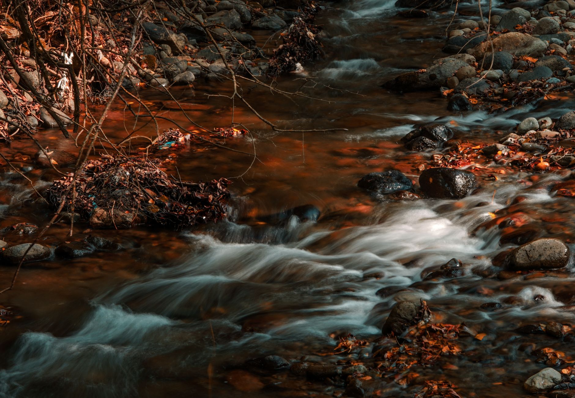 A tranquil autumn stream with fallen leaves and rocks captured in a long exposure, highlighting flowing motion.
